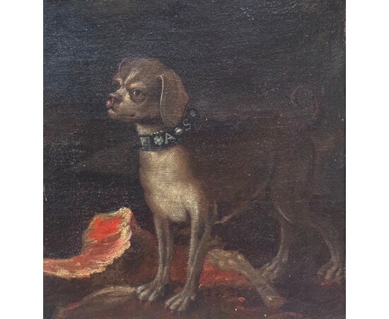 Scena mitologica o allegorica con figura maschile, cane e gatto – Dipinto su tela XVII secolo