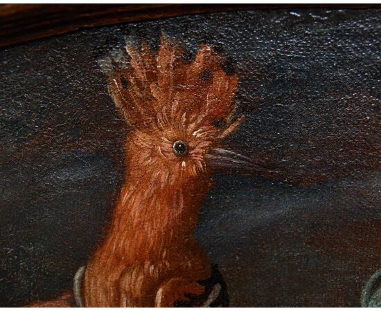 Emilian school, 18th century, Still life with hoopoe, frog and snake
