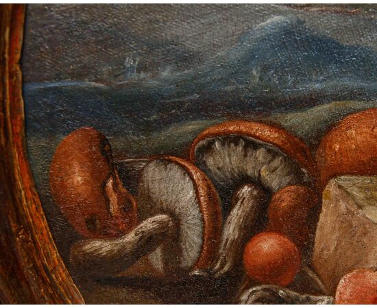 Emilian school, 18th century, Still life with hoopoe, frog and snake