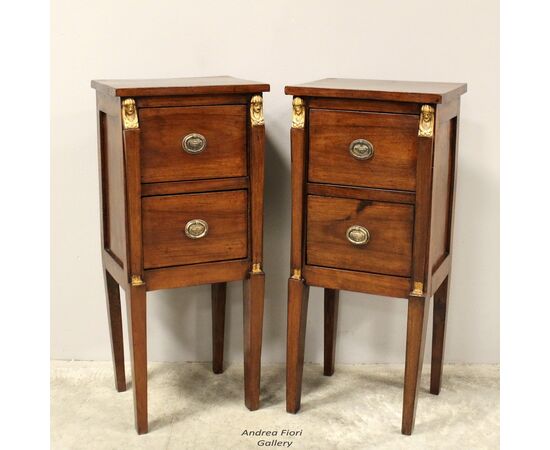 Antique pair of Directory bedside tables in walnut - "Retour d'Egypte" 1798/1805 Italy
