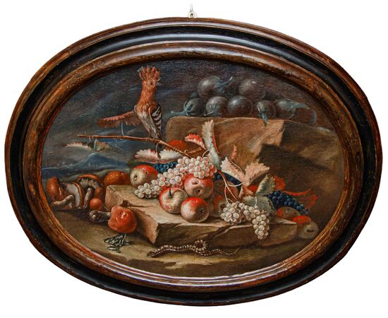 Emilian school, 18th century, Still life with hoopoe, frog and snake
