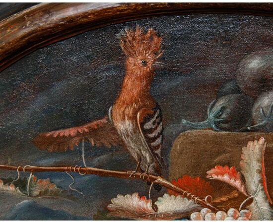 Emilian school, 18th century, Still life with hoopoe, frog and snake