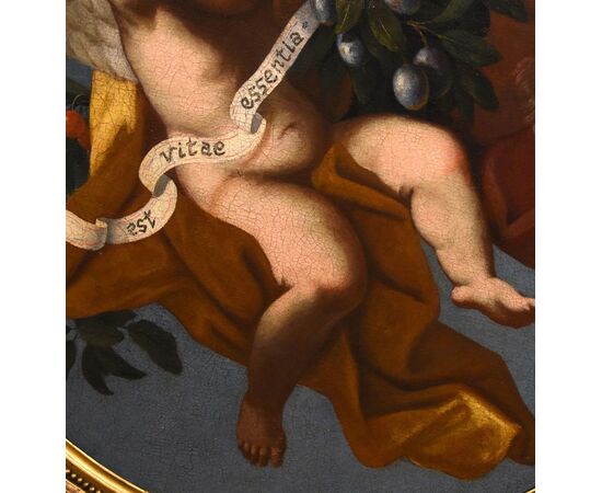 Fruit composition supported by three angels, Roman School of the early 18th century Luigi Garzi (Pistoia 1638 – Rome 1721)