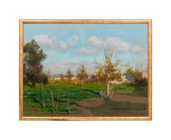 Paesaggio di campagna  - O/6456