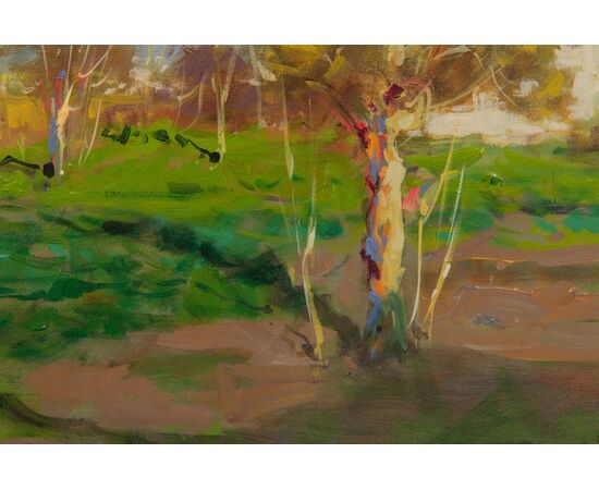 Paesaggio di campagna  - O/6456