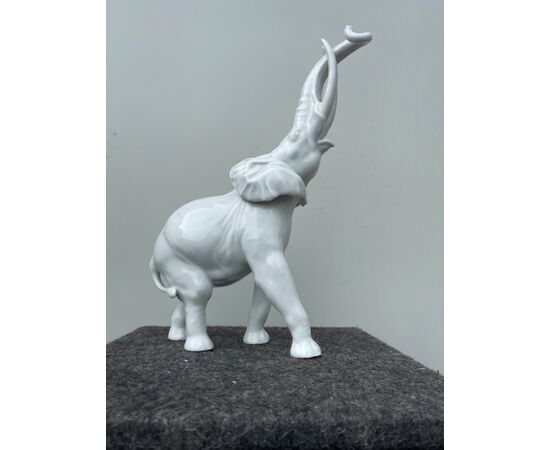 Figura di elefante in porcellana bianca.periodo liberty.