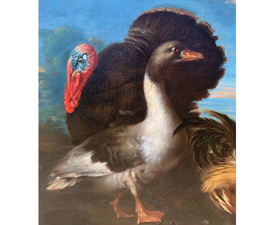 Maestro fiammingo (XVII sec.) - Natura viva con tacchino, anatre, gallo e coniglio.