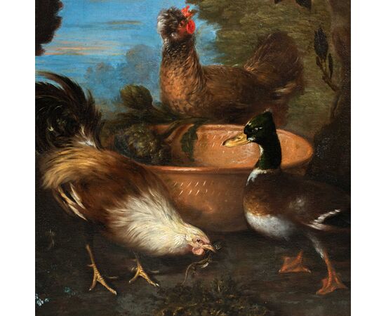 Maestro fiammingo (XVII sec.) - Natura viva con tacchino, anatre, gallo e coniglio.