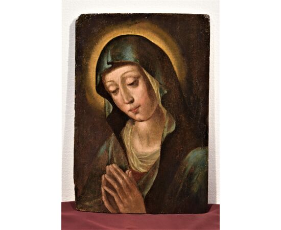 "Vergine in preghiera" olio su tavola