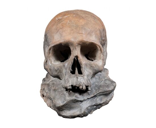 Terracotta sculpture - Memento mori. Italy, 18th-19th century.