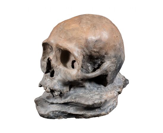 Terracotta sculpture - Memento mori. Italy, 18th-19th century.