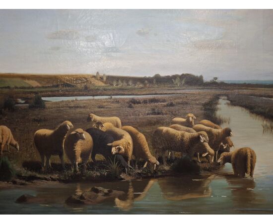 Saline di Cervia