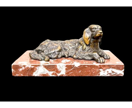 Scultura in bronzo raffigurante un cane.Base in marmo.