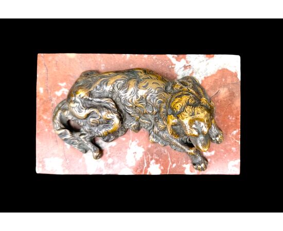 Scultura in bronzo raffigurante un cane.Base in marmo.