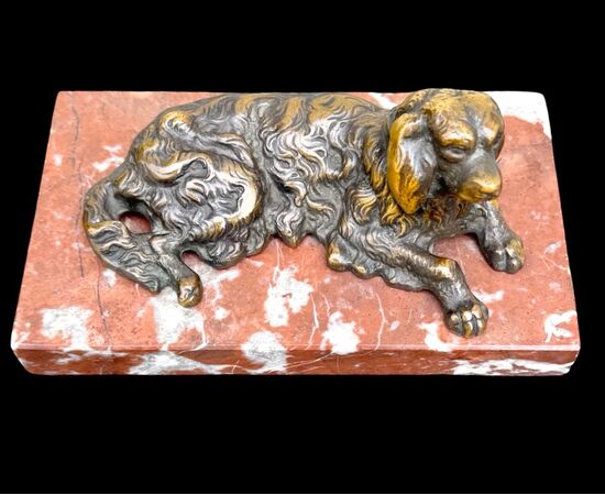 Scultura in bronzo raffigurante un cane.Base in marmo.