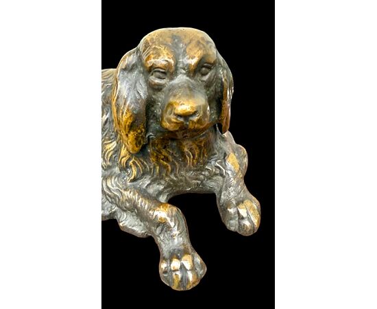 Scultura in bronzo raffigurante un cane.Base in marmo.