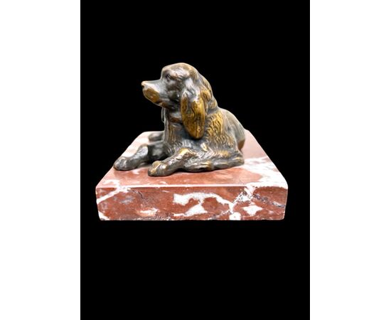 Scultura in bronzo raffigurante un cane.Base in marmo.