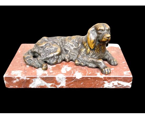 Scultura in bronzo raffigurante un cane.Base in marmo.