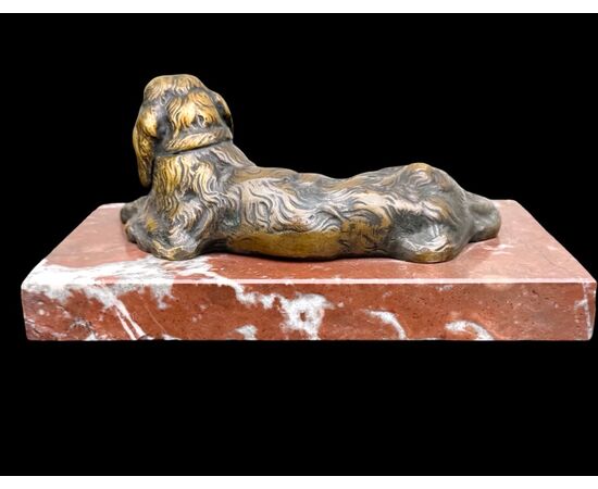Scultura in bronzo raffigurante un cane.Base in marmo.