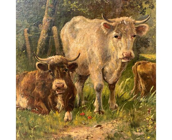 European painter (late 19th century) - Cows grazing.