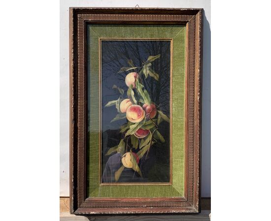 Charles Thomas Bale (British, 1866 - 1895) - Natura morta di pesche. Charles Thomas Bale (British, 1866 - 1895) - Natura morta di pesche.