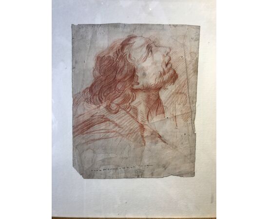 Studio di testa maschile, disegno a sanguigna su pergamena, fine XVII secolo