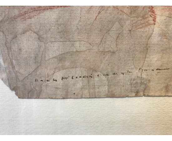 Studio di testa maschile, disegno a sanguigna su pergamena, fine XVII secolo