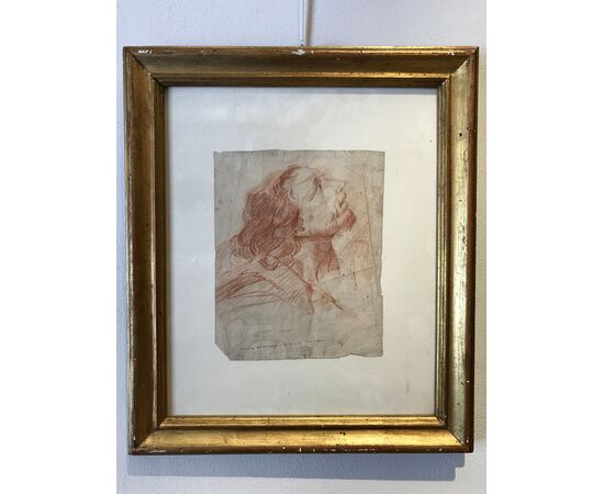 Studio di testa maschile, disegno a sanguigna su pergamena, fine XVII secolo