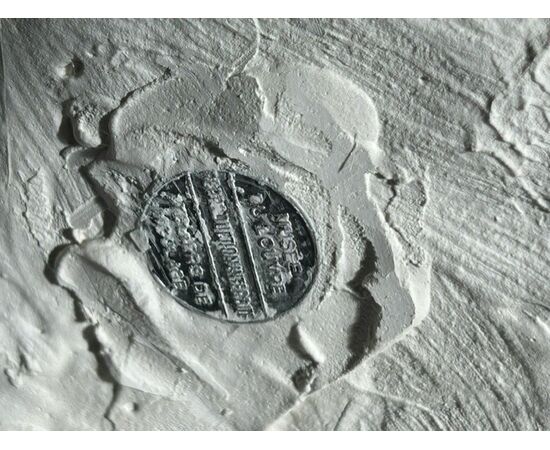 Plaster cast