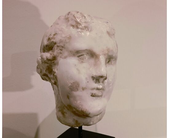 Scultura accademica del ‘900 in cera – Testa di Afrodite
