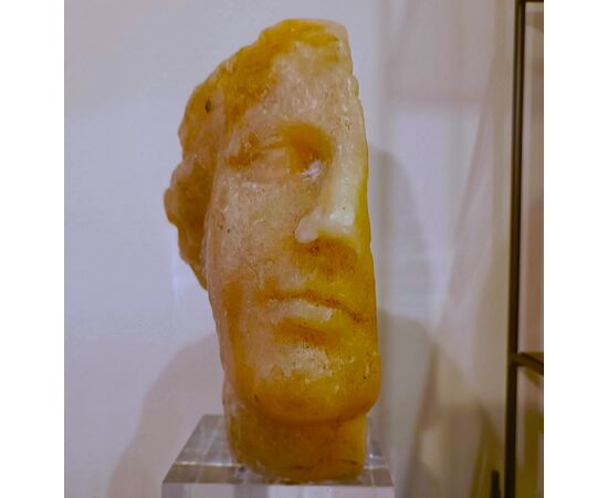 Scultura accademica del ‘900 in cera testa di Venere effetto ambra