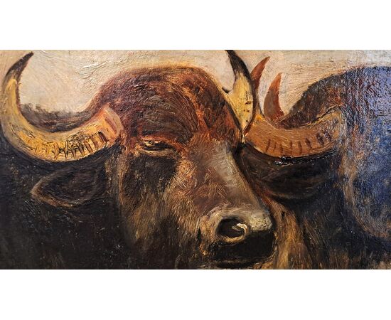 "BUFFALO HEADS" - OIL ON THICK CARDBOARD - GIUSEPPE RAGGIO (1823 - 1916)