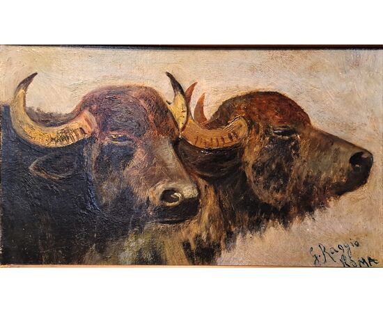 "BUFFALO HEADS" - OIL ON THICK CARDBOARD - GIUSEPPE RAGGIO (1823 - 1916)