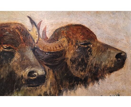 "BUFFALO HEADS" - OIL ON THICK CARDBOARD - GIUSEPPE RAGGIO (1823 - 1916)