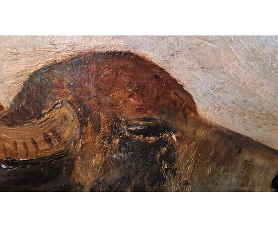 "BUFFALO HEADS" - OIL ON THICK CARDBOARD - GIUSEPPE RAGGIO (1823 - 1916)
