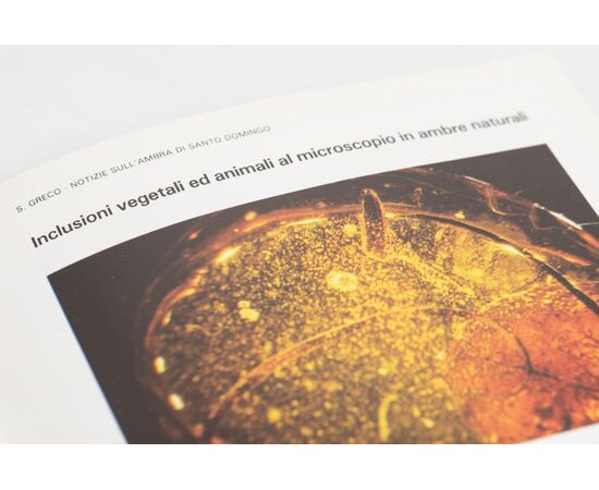 Dark amber flower - G/283 -