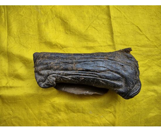 Splendid multi-blade tool for veterinary surgery