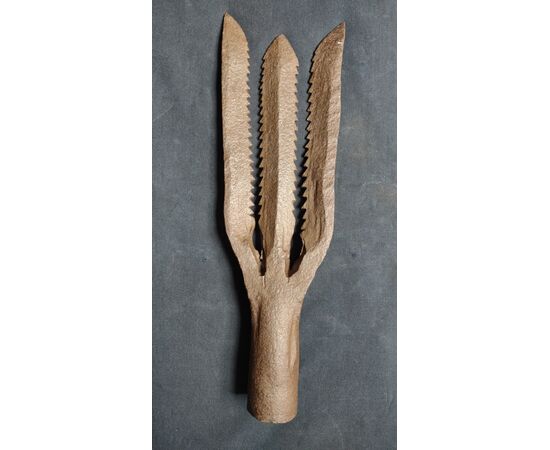 Foëne harpoon used in France for eel fishing