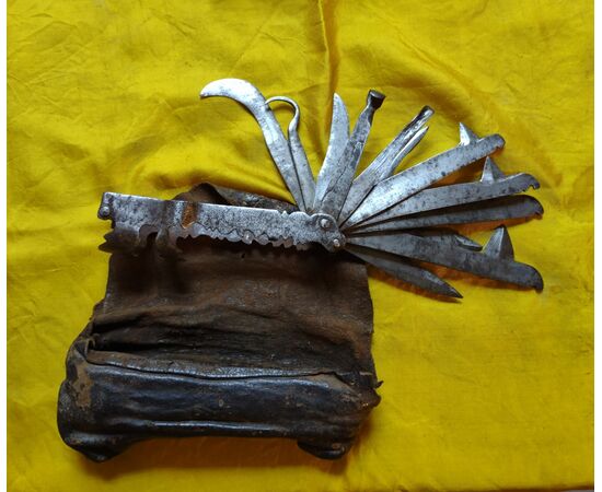 Splendid multi-blade tool for veterinary surgery