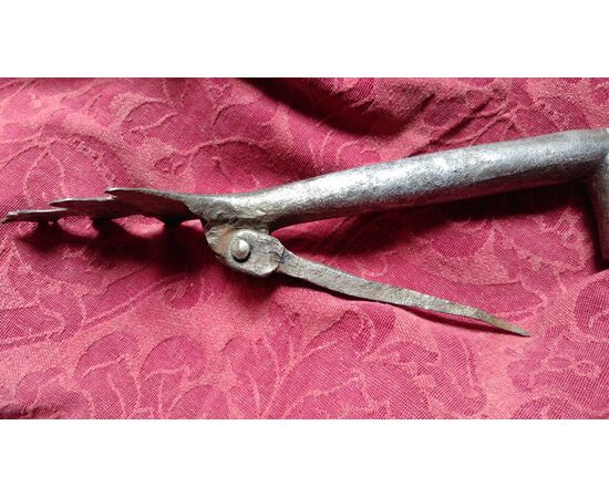 Battente in ferro spagnolo zoomorfo