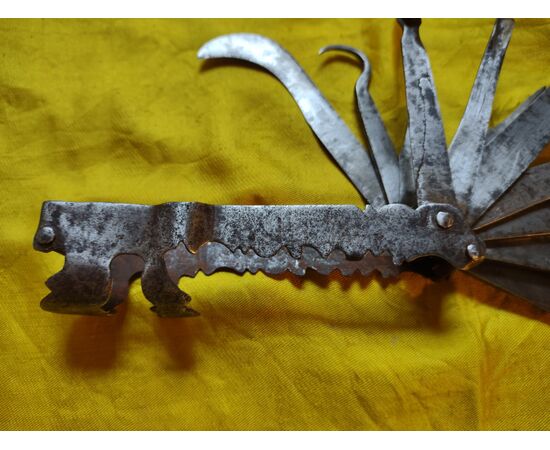 Splendid multi-blade tool for veterinary surgery