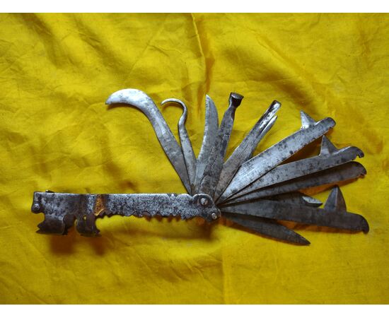 Splendid multi-blade tool for veterinary surgery