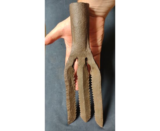 Foëne harpoon used in France for eel fishing