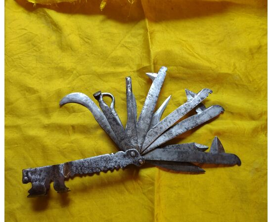 Splendid multi-blade tool for veterinary surgery