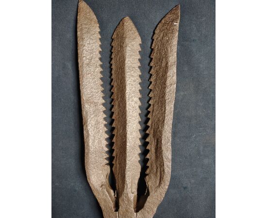 Foëne harpoon used in France for eel fishing