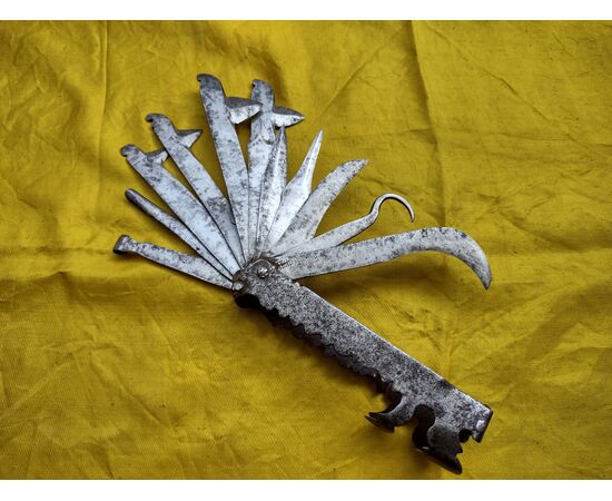 Splendid multi-blade tool for veterinary surgery