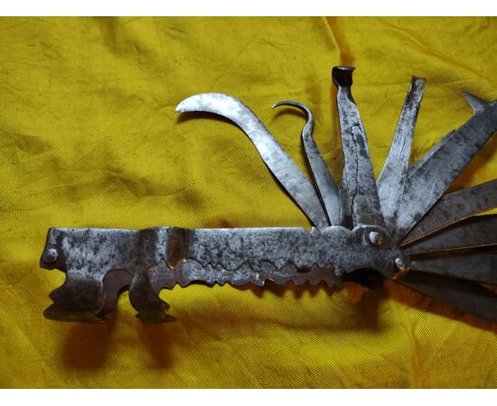 Splendid multi-blade tool for veterinary surgery