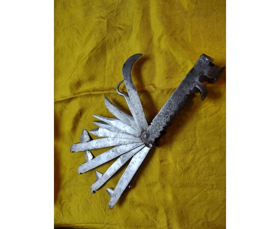 Splendid multi-blade tool for veterinary surgery