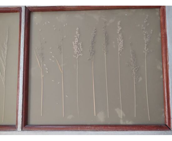 Piedmontese door in Provençal style painted with tempera