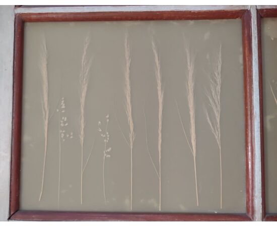 Piedmontese door in Provençal style painted with tempera